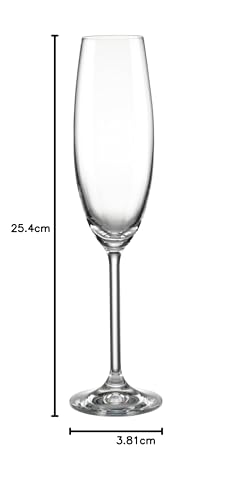 Lenox Tuscany Classics Set, Champagne Flutes, Buy 4, Get 6, 6 Count (Pack of 1), Clear,8 Ounces.