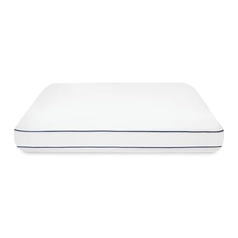 SensorPEDIC Therapedic® Polar Nights™ 20X Cooling Standard Memory Foam Pillow, with Cooling Technology, Premium Memory Foam Pillow and Advanced Technology, Certipur-Us Certified,24" L X 16" W. Cover
