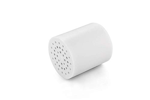 Filtro depuratore per doccia universale con getto forte con cartuccia filtrante sostituibile a 5 stadi, per capelli e pelle più sani, senza nastro in teflon, cromato replacement cartridge - WA550