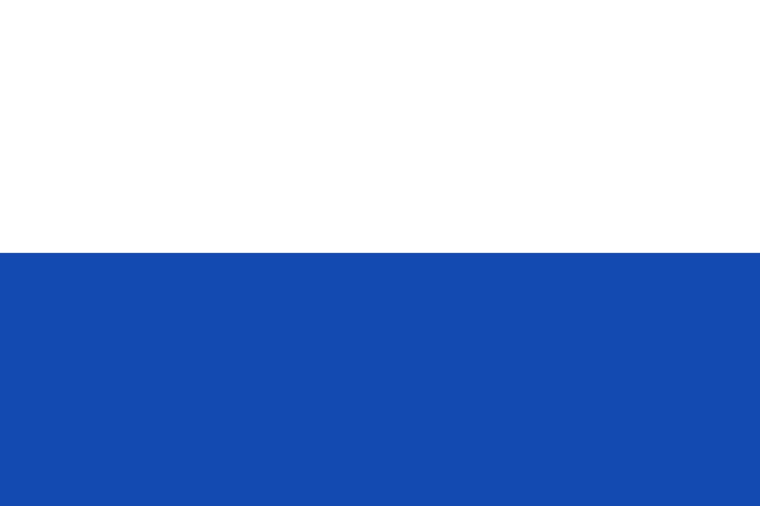Drapeau Delfland waterschap vlag 1893 grand format résistant aux intempéries