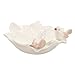 LIOOBO Creative Ceramic Jewelry Dish Tray Stylish Trinket Storage Plate for Home and Shop Display Durable White Fashionable Organizer for Rings Necklaces Earrings and Bracelets