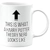 Harry Potter Theory Nerd