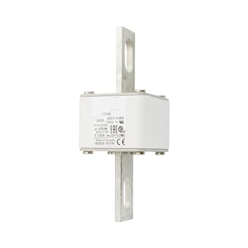 Fusible 170M5716 de puissance 800A 690V pour sectionneur