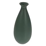 Vase de plantation d'eau: le design de forme simple semble unique et beau, ce qui en fait une décoration de maison, un conteneur d'affichage
