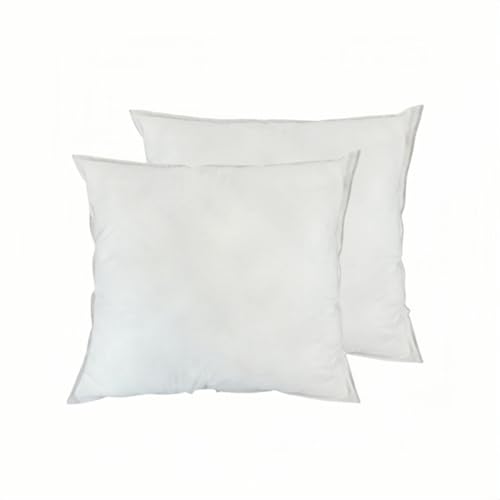 DAMDAM GO Relleno de Cojín Pack de 2, Relleno de Cojín, Rellenos Esponjosidad, Cojín Decorativo para Casa (45x45cm)