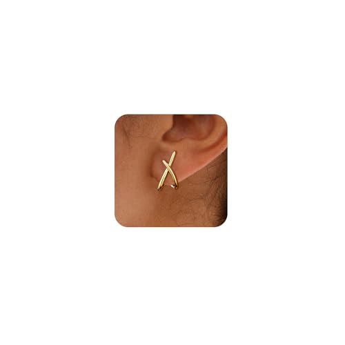 AGWOLF - AGWOLF Gold Earrings for Women Trendy,14K Gold/Silver Plated Stud Plated Earrings Dainty Earrings Simple Minimalist Cubic Zirconia Diamond Hypoallergenic Small Gold Earrings for Women Jewelry Gifts