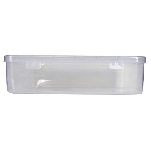 Feliz Clear Plastic Large Storage Box size 12.75 x 8 x 3.5 Inches