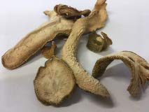 Buddha's hand / Finger Citron｜Fo Shou｜佛手｜Citrus medica L. var. sarcodactylis Swingle