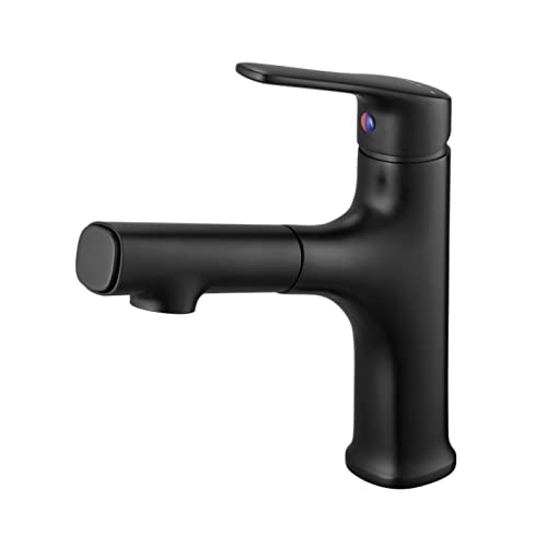 Robinet mélangeur double mode pour évier de cuisine eau chaude et froide