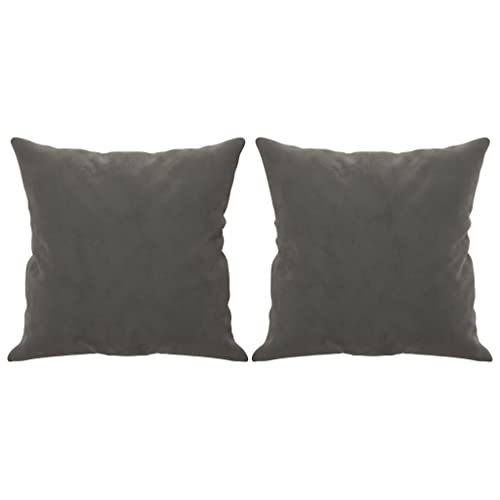 CIOURSTO Cojines de sofá de Terciopelo, 2 Piezas, Cojines Decorativos con Relleno, para sofá, 40 X 40 cm, para Salón, Dormitorio (Gris Oscuro)