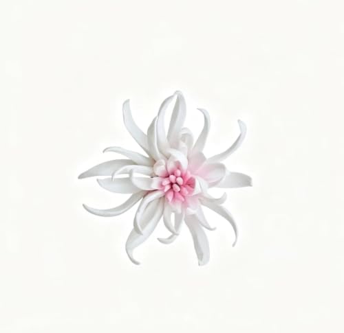 AMERRY Yimi Flower,White, 3.54", 3D Ceramic Flower Wall Sculpture, Handcrafted Porcelain Floral Wall Hanging Decor, Wall Mount Flower Art for Bedroom Hallway
