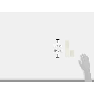 Dogit Replacement Foam Insert for Fresh & Clear Drinking Water Fountain for Large Dogs, 2-Pack