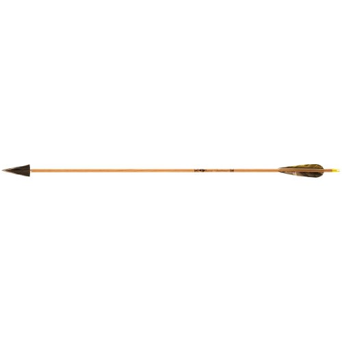 Tiges de chasseur Gold Tip 75/95 en carbone haute stabilité x12