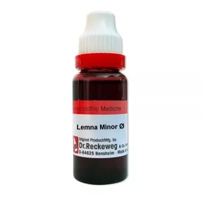 Dr Reckeweg Lemna Minor (Q) (20ml) (B0CGZSQ4H8) Amazon Price History, Amazon Price Tracker