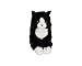 Gipsy- Gato de Peluche mimiz de 28 cm Imagen de Gipsy- Gato de Peluche mimiz de 28 cm