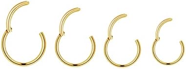 4Pairs/Pcs 18G Surgical Steel Hinged Clicker Segment Nose Rings Hoop Helix Cartilage Daith Tragus Sleeper Earrings Body Piercing for Women Men 6mm 8mm 10mm 12mm