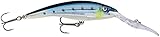 ラパラ(Rapala) ディープテールダンサー TDD11-BSRD (イワシ) 11cm/22g