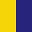 Navy Yellow