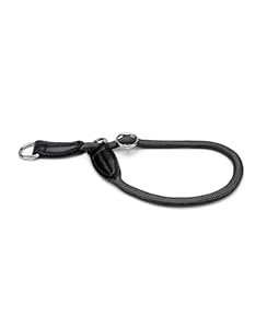 lionto Collar de perros collar retriever collar de adiestramiento, 45 cm, Negro