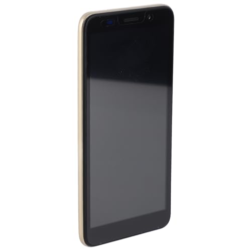 Denash Telefono Cellulare con Grande Schermo e Fotocamera Ad Alta