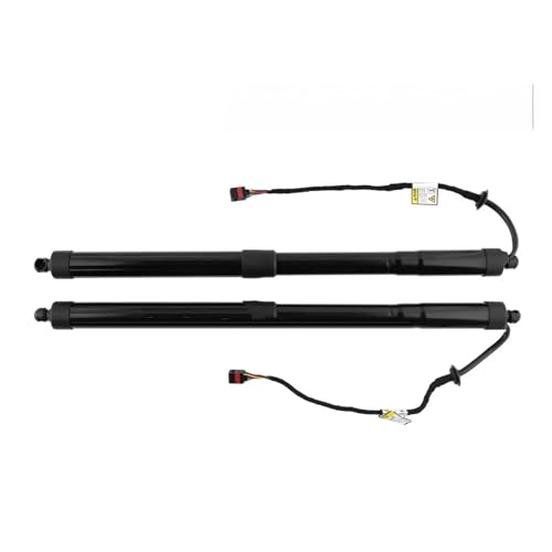 Vérin hayon électrique 81770A9100 résout blocage coffre Kia Sedona 2015-2021 paire