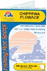 Chippewa Flowage Sawyer Co Fishing Map