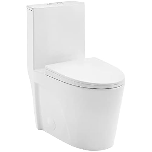 St. Tropez One Piece Elongated Toilet Dual Vortex Flush 1.1/1.6 gpf with 10" Rough In