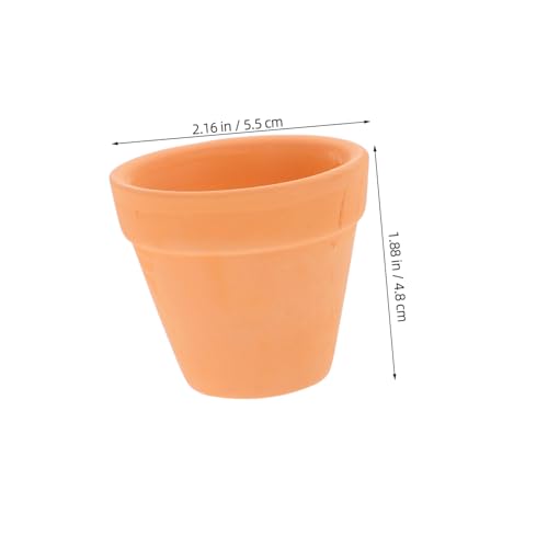 Pot terre cuite pour plantes grasses et compositions raffinées de table - 3