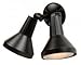 Two Light Black Flood Light