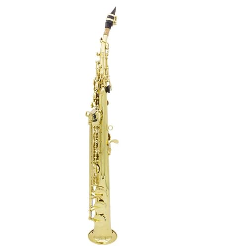 TbNX Bb\vmTbNXXg[gǊyAP[XA[hAO[uAANZT[tAVo[ƃS[h炨Iт܂(Gold straight tube)