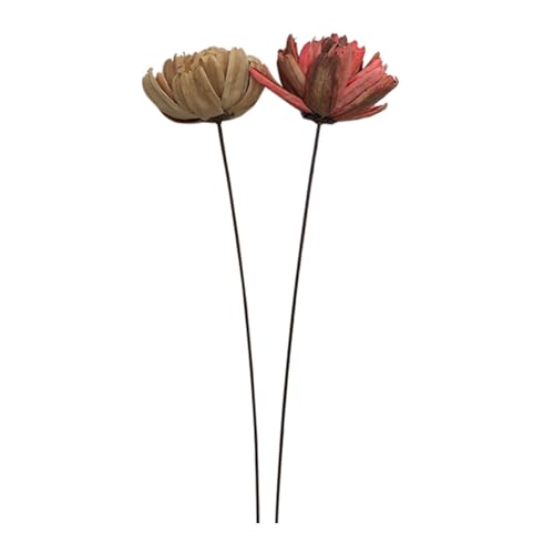 Luxshiny 2pcs Ramo de Flores Secas Decorativas miniatura 1