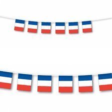 French Flag France String Flags Banner 33ft Decoration
