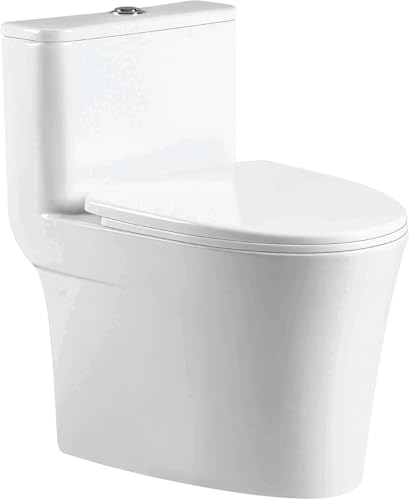 Fine Fixtures Modern One-Piece Toilet, High-Efficiency Dual Flush System, Compact
