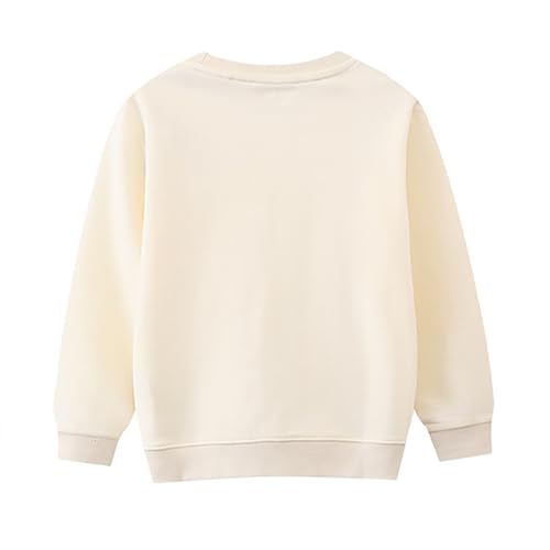 Baby Boy's Tops Crew Neck Long Sleeve Pullover Sweatshirt Lightweight Spring Fall Classic Solod Basic Outfits2