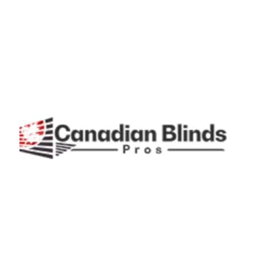 Page de couverture de Stylish Light Control with High-Performance Zebra Blinds Canada