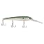 Slick Tennessee Shad