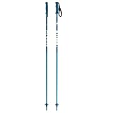 Salomon Unisex-Youth Amt Jr Alpine Poles, Blue, 100 EU