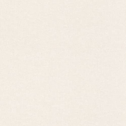 Rasch Tapeten Vliestapete (universell) Weiß 10,05 m x 0,53 m Bambino XIX 252804