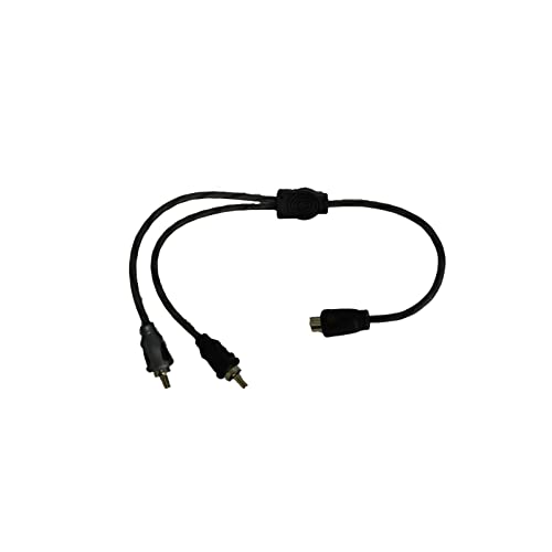 Câble RCA Y American Bass SQ1F2M aux finitions durables