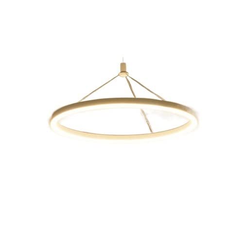 Lámpara colgante de acero inoxidable con diseño de anillo europeo y acabado de alta gama