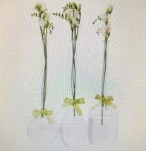Two's Company Sleek and Chic Vase Trio with Sage Green Ribbon