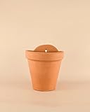 Pur Plant