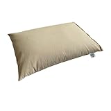 Brow Farm Buckwheat Hull-Filled Pillow –...