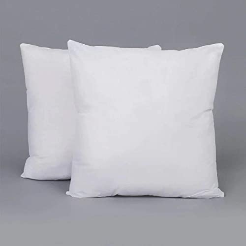 Image of Microfiber Cushion Fillers Pillow (30 x 30 cm, white) - Pack of 2
