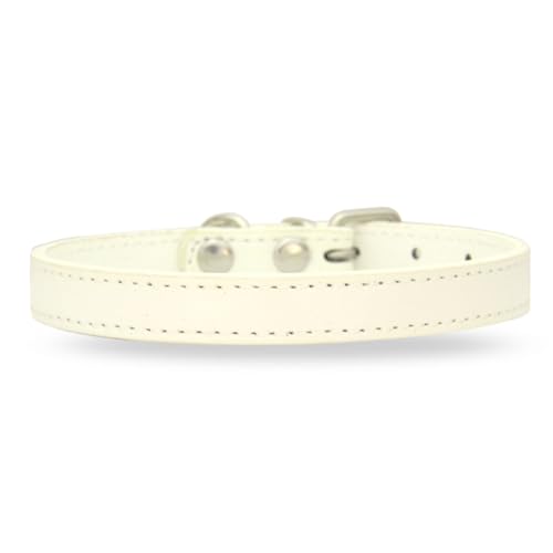 [LaLUCA GOODS]   L    X^_[h PU U[ Vv ^ ^ hbO U Jt zCgiȂj L