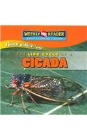 Paperback The Life Cycle of a Cicada (Things With Wings) Book