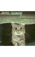 Cats Are Night Animals / Los Felinos Son Animal... [Spanish] 0836880501 Book Cover