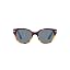 Red Havana Gradient Light Havana/Light Blue
