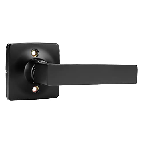 Gobekor 1 Pack Black Lever Door Handle Dummy Square Door Levers Dummy Closet Door Handles For Pantry Straight Lever Non-Turning Lock #TOP7
