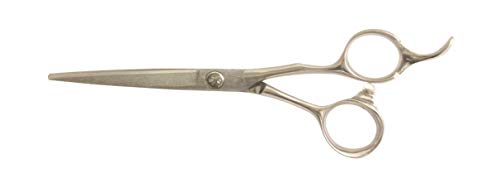 SAKURA Scissors: XVS600- Professional hair cutting shears for hairdressers and barbers- size 6